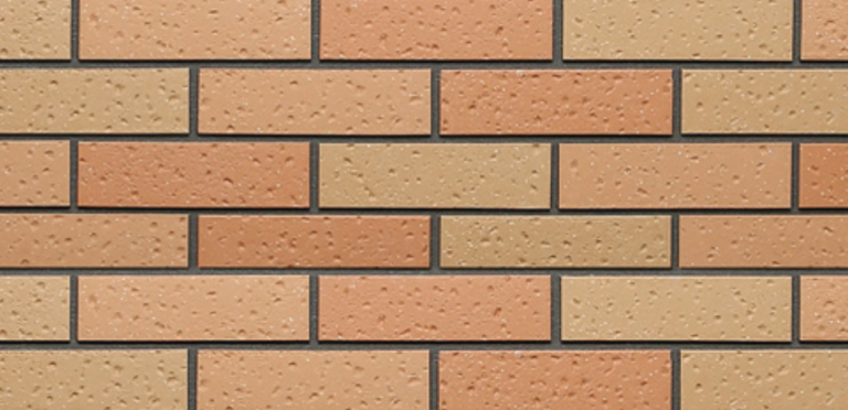 website-image 7