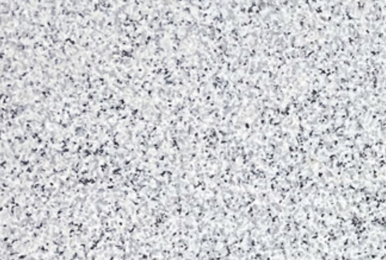 website-image 9